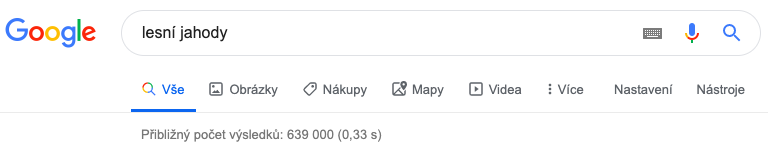 vyhledávání Google