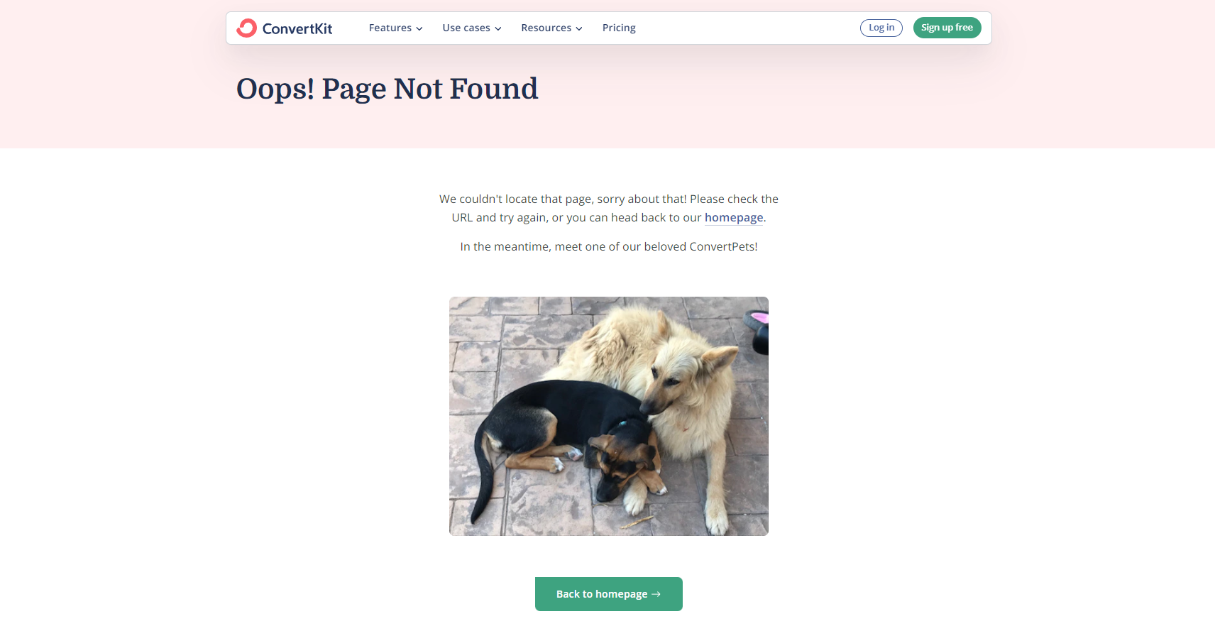 404 Page not found - ConvertKit